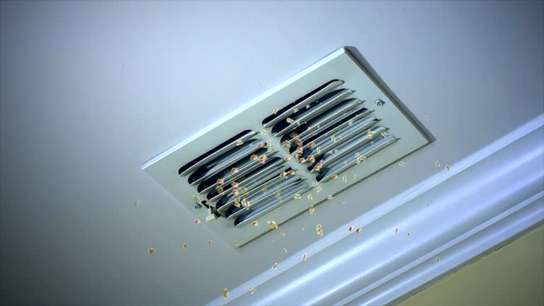 Best Air Duct Cleaning Near Me in Windsor, IL